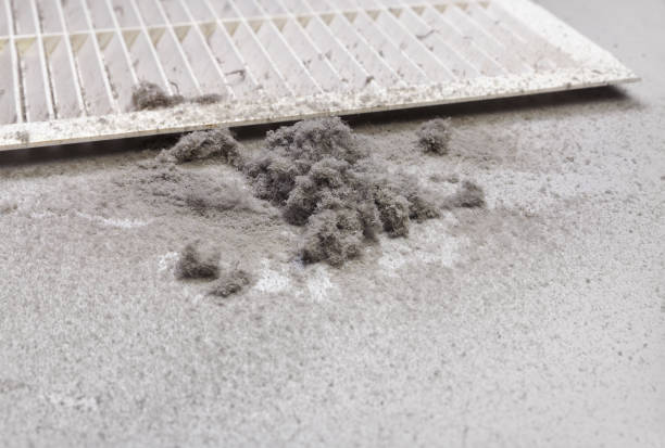 HVAC System Cleaning in Mead, WA