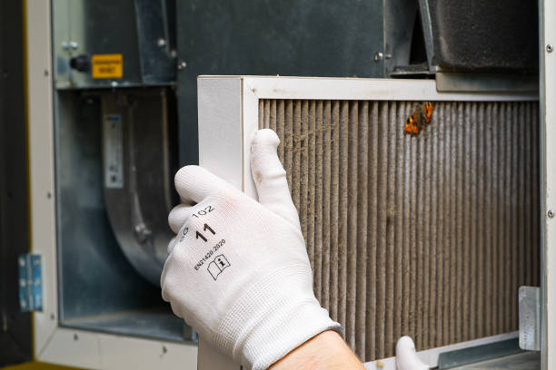 Best Air Duct Sanitizing Services  in Mead, WA
